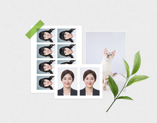 이미지